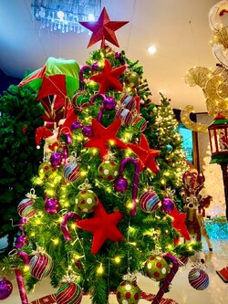 ครอบคลุม77จังหวัดในการเช่าต้นคริสต์มาสปลอม