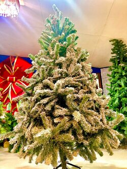 ข้อดีของการเช่าต้นคริสต์มาส"๋Johnny bangkok"