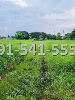 ขายที่ดิน ใจกลางเมืองเพชรบูรณ์ เนื้อที่ 18-1-3 ไร่ ติดถนนสันติสุข เข้าออกได้หลายเส้นทาง บรรยากาศดีเงียบสงบน่าอยู่