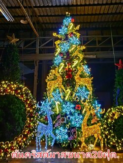 เช่าต้นคริสต์มาสขนาดความสูง20ฟุต