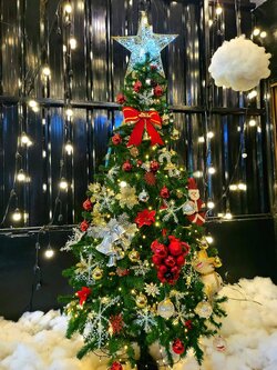ต้นคริสต์มาสพร้อมของประดับ10Ft.