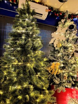 ต้นคริสต์มาสทรงสนพุ่มหนาแน่น ใบสน VIP 7 ฟุต ปลายแตก