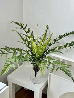 [พร้อมส่ง] Jnihouse : กิ่งเฟิร์นประดิษฐ์ (มีหน่อ)