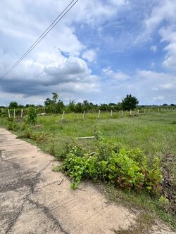 ขายถูกมาก ที่ดินเปล่าหนองจอก 200 ตารางวา (N.650)