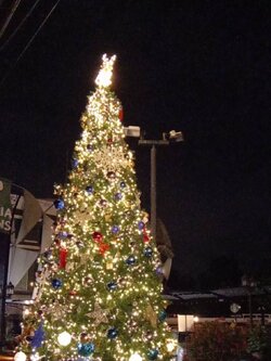 ให้เช่าต้นคริสต์มาสปลอมพร้อมของตกแต่งขนาด20ฟุตหรือ6เมตร