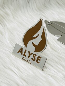 เข็มกลัดตราสัญลักษณ์ต่างๆ