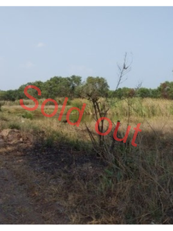 ขายที่ดินเปล่าคลองสาม ปทุมธานี 2-27-27 ราคาถูกมาก (N.008)