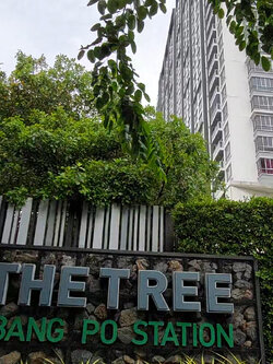 ขาย the tree bangpo station บางโพ สเตชั่น เป็นคอนโดมิเนียมติดรถไฟฟ้า มองเห็นโค้งแม่น้ำเจ้าพระยา ใกล้ MRT สถานีบางโพ วิวแม่น้ำ เฟอร์ครบพร้อมอยู่