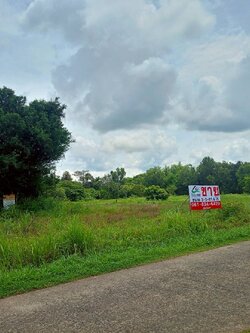 ขายที่ดินเปล่าแปลงสวย ขนาด 3-3-81.4 ไร่ (แบ่งขายได้) ในตำบลขี้เหล็ก อ.เมืองอุบลฯ พร้อมพัฒนาได้ทุกอย่าง (N.1843)