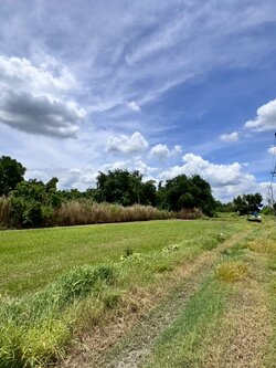 ขายที่ดินเปล่าหนองจอก ถ.ประชาสำราญ (ซอยร่วมพัฒนา) **เพียง 4,500/ตารางวา** (N.1717)