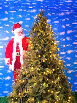 ราคาต้นคริสต์มาสใบนอกสีเขียวพร้อมประดับไฟขนาด 7 ฟุต