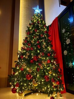 ต้นคริสต์มาสขนาด 3เมตร ให้เช่า