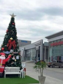 ให้เช่าต้นคริสต์มาสทรงสนขนาดใหญ่ 25ฟุต พร้อมของตกแต่ง ตามภาพ