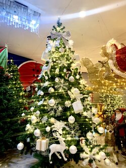 คุณต้องการเช่าต้นคริสต์มาสที่พร้อมของตกแต่งขนาด6ฟุตไหม?.