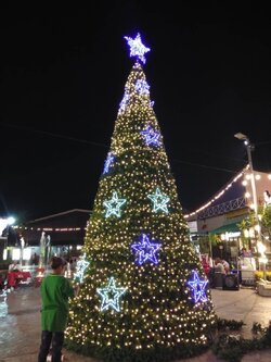 ให้เช่าต้นคริสต์มาสทรงกรวยขนาด 5เมตร พร้อม ติดตั้งและตกแต่ง