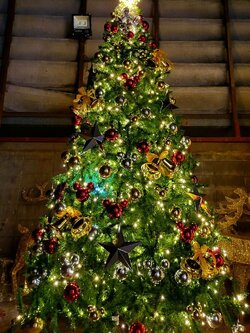 พบกับร้านให้เช่าต้นคริสต์มาส