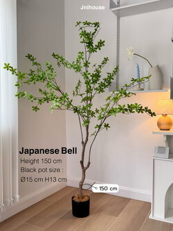 [พร้อมส่ง] Jnihouse : ต้น Japanese Bell ใส่กระถางดำสูง 150 cm