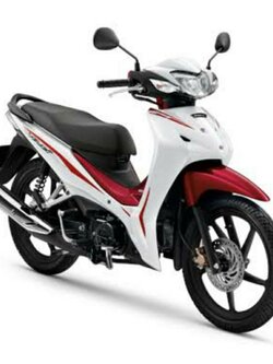 มอเตอร์ไซค์เช่าเชียงใหม่ honda wave 110 cc