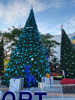 ให้เช่าของใช้ในวันคริสต์มาส"ต้นสนเทียม"