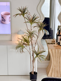 [พร้อมส่ง] Jnihouse : ต้นเข็มสามสีประดิษฐ์ (Madagascar Dragon Tree)