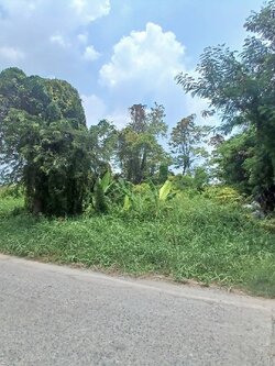 ขายด่วน ที่ดิน ถนนเฉลิมพระเกียรติ ร.9 ซอย 47 (N.1021)