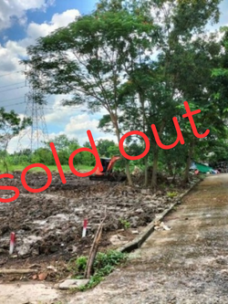 ขายที่ดินสุดสวยในพื้นสนามกอล์ฟ (ธานนท์กอล์ฟ) มีนบุรี ร่มรื่น เงียบสงบ (N.244)