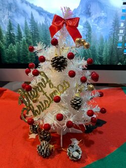 ให้เช่าต้นคริสต์มาสสีขาวพร้อมตกแต่ง ขนาด25เซนติเมตร