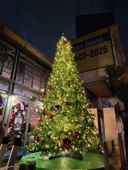 ต้นสนสีเขียวตกแต่งไฟคริสต์มาสขนาด15ฟุต