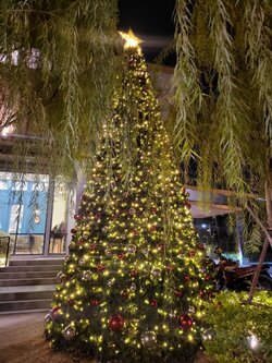 ให้เช่าต้นคริสต์มาสปลอม"ยอดนิยม"