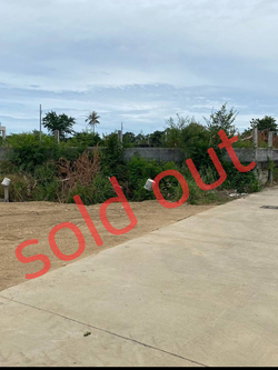 ขายที่ดินพัทยา อ.หนองปรือ 172 ตรว. (N.762)