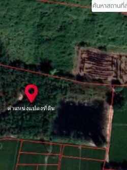ขายด่วน ที่ดินเปล่ายกแปลง ติดถนน 8-3-20 ไร่ อ.บ่อทอง จ.พิษณุโลก (N.1675)