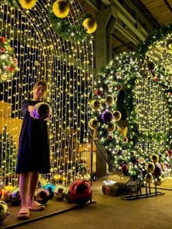 ให้เช่าซุ้มอุโมงค์ไฟประดับ "งานเลี้ยงคริสต์มาส"