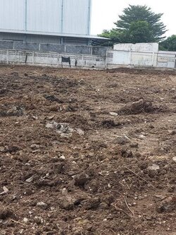 ขายที่ดินถมแล้ว ซอยศรีนครินทร์ 24 เดินทางสะดวก ใกล้รถไฟฟ้าสายสีเหลือง (N.1607)