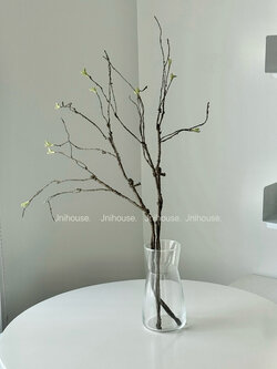 [พร้อมส่ง] Jnihouse : กิ่งไม้ประดิษฐ์สูง 70 cm (มีใบจิ๋วๆที่ปลายก้าน)