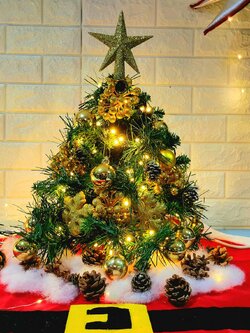 ให้เช่าต้นคริสต์มาสขนาด1ฟุตพร้อมตกแต่ง