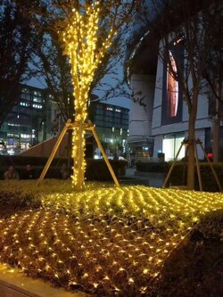 ให้เช่าไฟประดับ ขนาด3*3เมตร พร้อมติดตั้ง