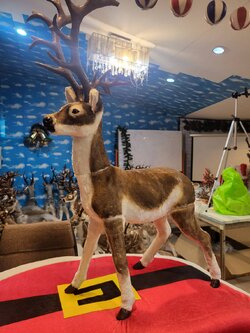 ให้เช่ากวางเรนเดียร์คริสต์มาส 110cm.นํ้าตาล