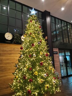 ต้นคริสต์มาสสีเขียวพร้อมประดับตกแต่งขนาด12ฟุต