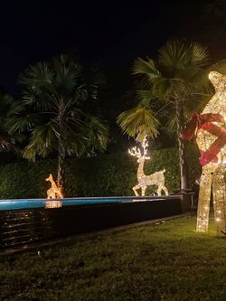 ให้เช่ากวางเรนเดียร์ขนาดใหญ่ขนาด2เมตร