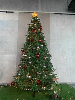 ให้เช่าต้นคริสต์มาสปลอม"12ฟุต"
