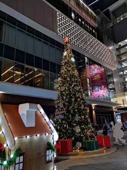 สำหรับการเช่าต้นคริสต์มาสปลอมทรงสนขนาด30ฟุต/9เมตร พร้อมการตกแต่ง