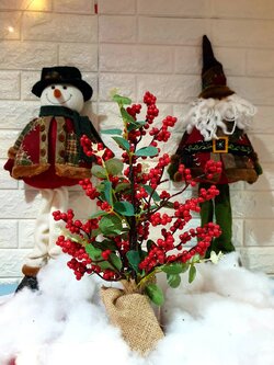 ให้เช่า ต้นคริสต์มาสขนาด1ฟุต ฮอลลี่