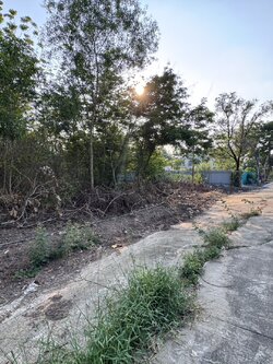 ขายที่ดินเปล่าซอยสุวินทวงศ์51 ถูกที่สุดในโครงการ โครงการรมณีย์ (N.1610)