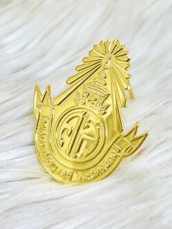 เข็มกลัดตราสัญลักษณ์ต่างๆ