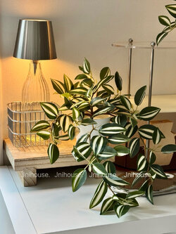 [พร้อมส่ง] Jnihouse : (รุ่นยาว)ต้นก้ามปูด่างประดิษฐ์+กระถางพลาสติกขาว