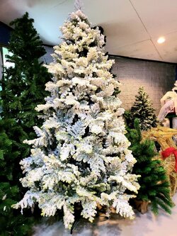 ให้เช่าต้นคริสต์มาส"ล่าสุด"