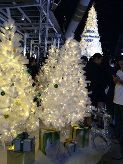 ให้เช่าต้นคริสต์มาสสีขาว ขนาด 6ฟุต พร้อมประดับไฟ