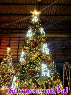 ให้เช่าต้นคริสต์มาสปลอม"ขนาด"