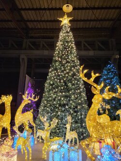 ต้นคริสต์มาสให้เช่า"ประเทศไทย"