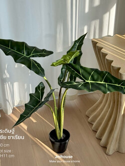 [พร้อมส่ง] Jnihouse : ต้นไม้ประดิษฐ์อโลคาเซีย หูช้าง (Artificial Alocasia Sarian Potted)(Tree)